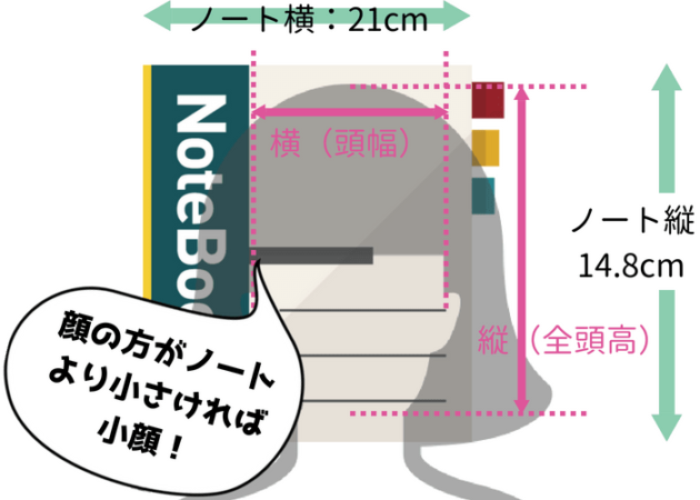 どこから小顔 女性芸能人のサイズや測り方が気になったので調べてみた もうふとダイエット